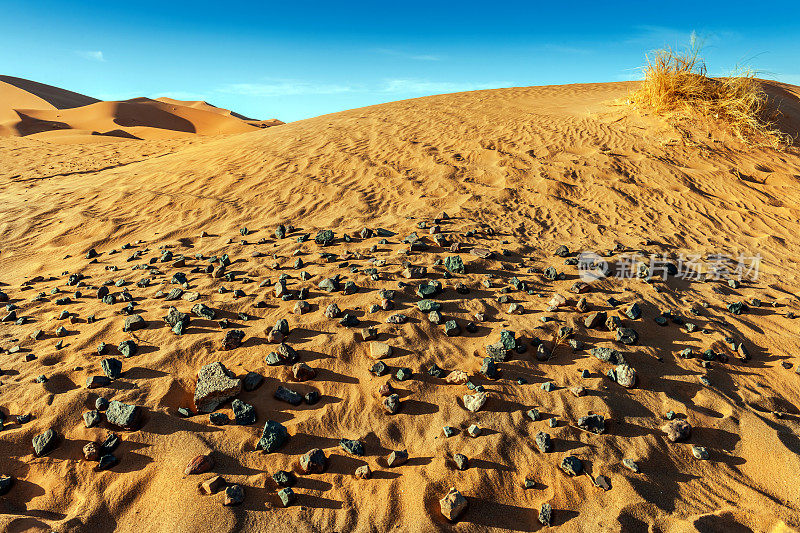 Erg Chebbi沙丘景观，摩洛哥，非洲